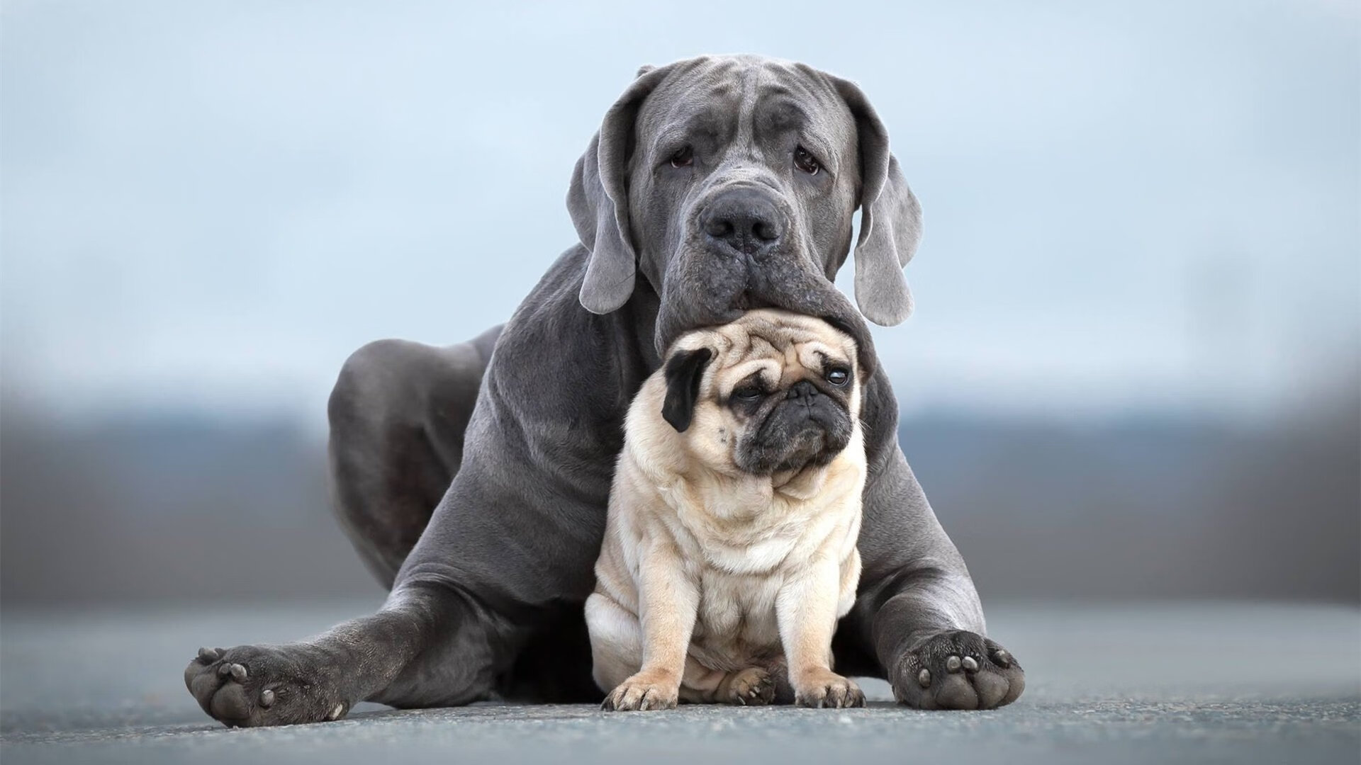 城市篮球夜场活动盛大开启，点燃群众体育热潮，篮球馆晚上开放吗